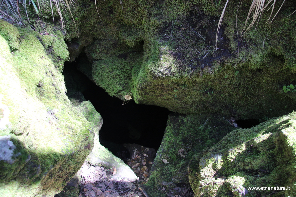 otta delle Femmine05-05-2023 13-29-39